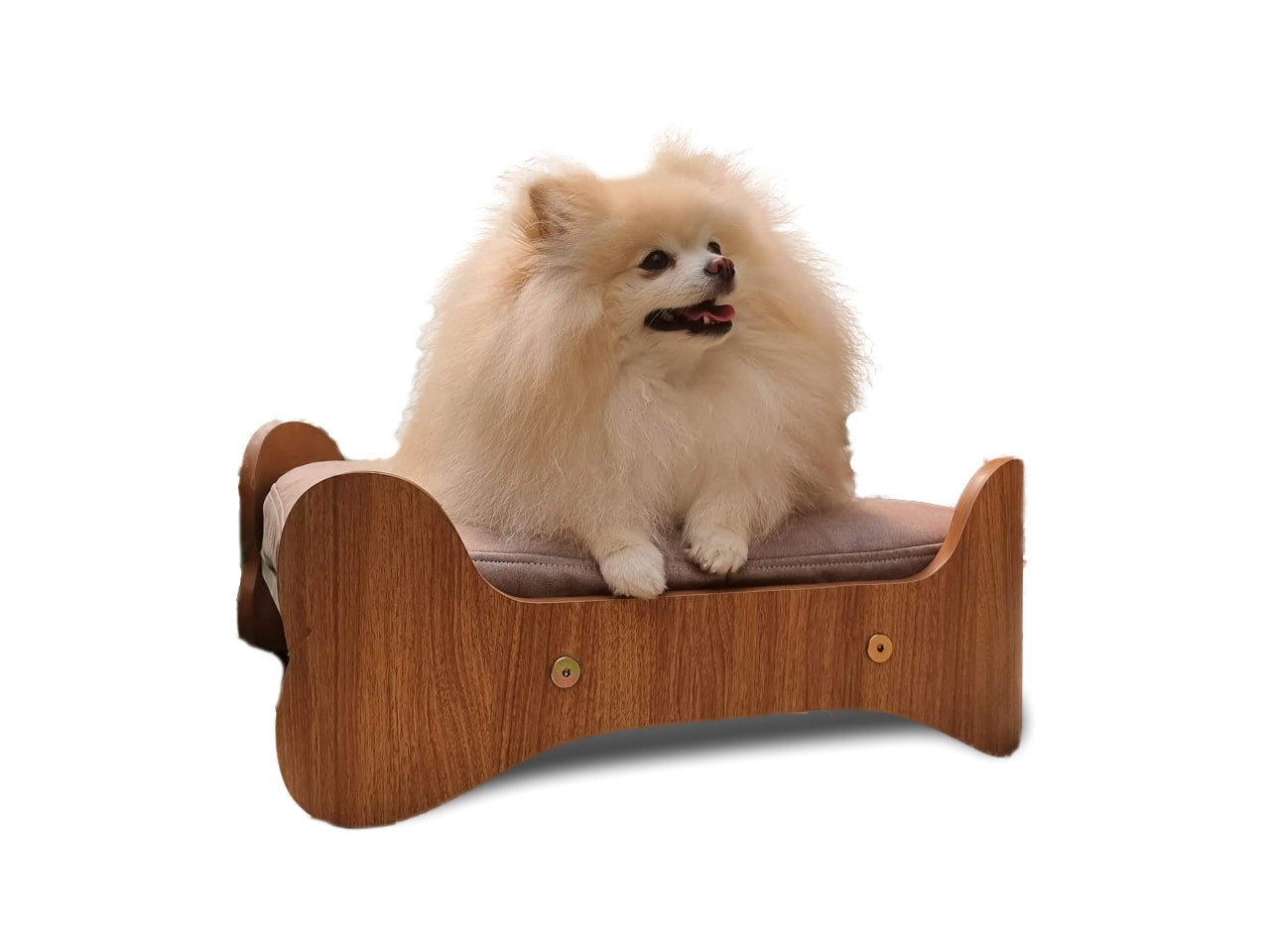 Cama para Pets em Formato de Osso | Cães, Gatos e Tratos
