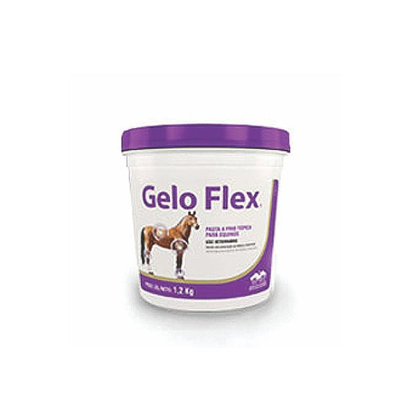 Gelo Flex Balde 1,2KG Pasta a frio Tópica para Equinos | Vetnil