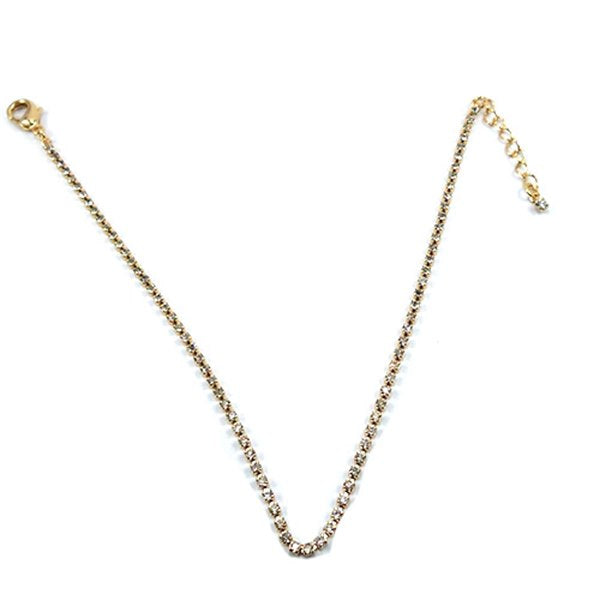 Corrente Lisa Strass Cristal Para Pet Pelle Pet