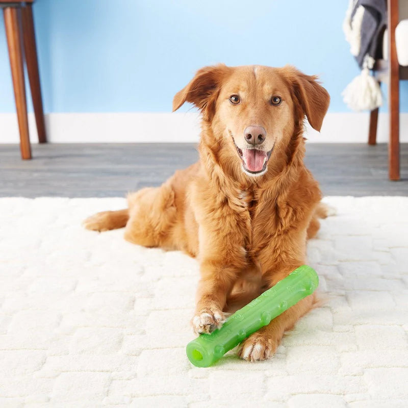 Squeezz Crackle Stick | Brinquedo para Cães Cores Sortidas | KONG