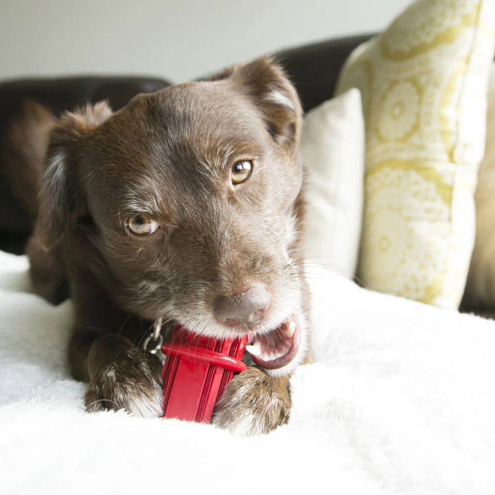 Dental Stick Brinquedo de Borracha para Cães | KONG