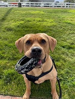 Tires | Brinquedo de Borracha para Cães | KONG