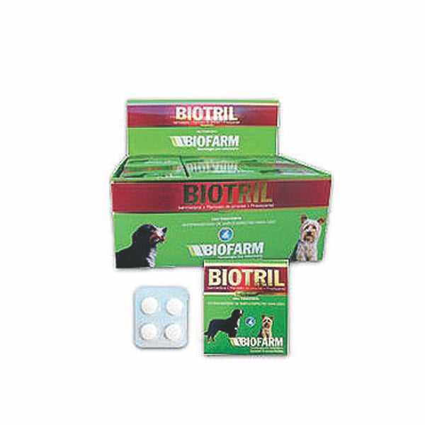 Vermífugo para Cães Antiparasitário com 4cp Biotril | Biofarm