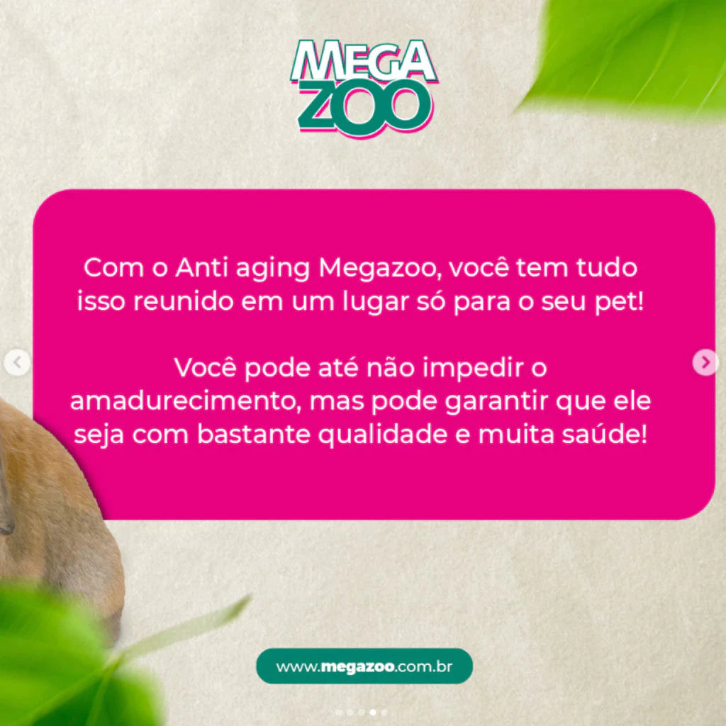 Ração Extrusada Anti Aging Porquinho da Índia 500g | Megazoo