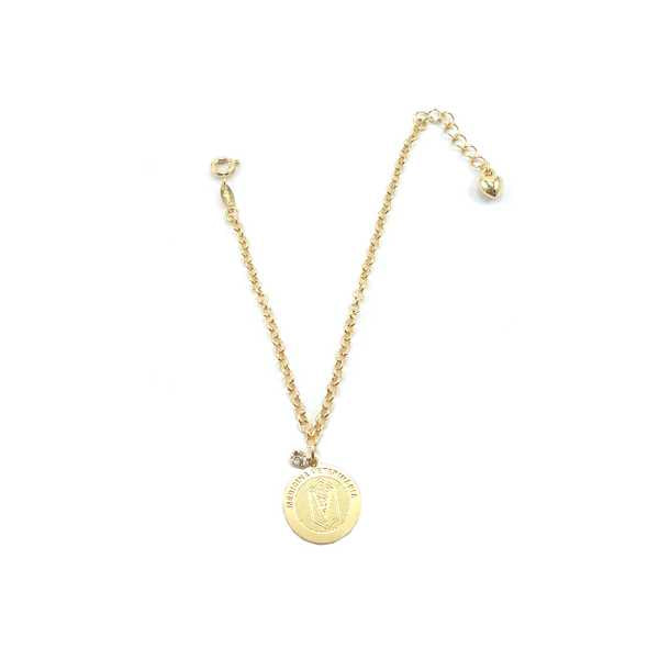 Pulseira Elo Medalha Veterinária Para Pet Pelle Pet