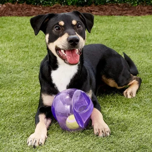 KONG Jumbler Ball with Squeaker - Tough Dog Toy