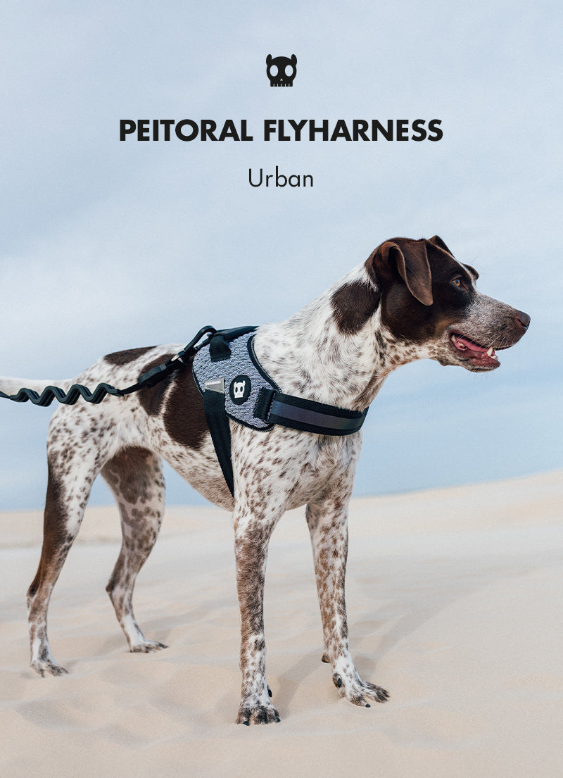 Peitoral para Cachorros FlyHarness Urban N°1 | Zee.Dog