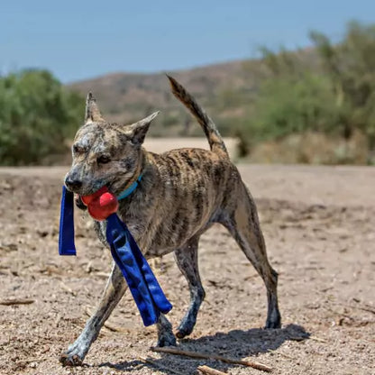 KONG Tails | Brinquedo de Borracha com Cabo De Guerra para Cachorro