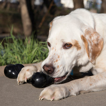 Extreme Goodie Bone Natural Rubber Bone for Powerful Chewers for Dogs