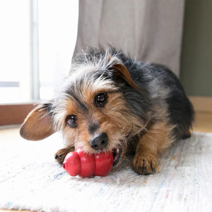 Classic Brinquedo de Borracha Recheável para Cachorro Grande | KONG