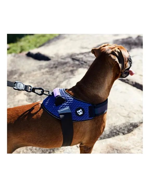 Peitoral FlyHarness Wicked para Cães N°1 | Zee.Dog