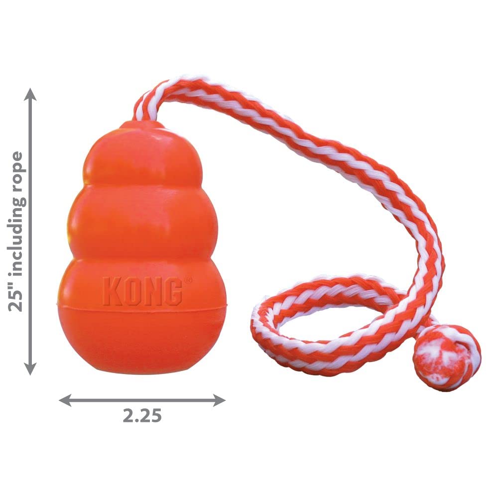 Aqua Brinquedo Aquático para Cachorro | KONG
