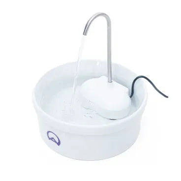 Fonte Bebedouro de Porcelana 1L | Amicus