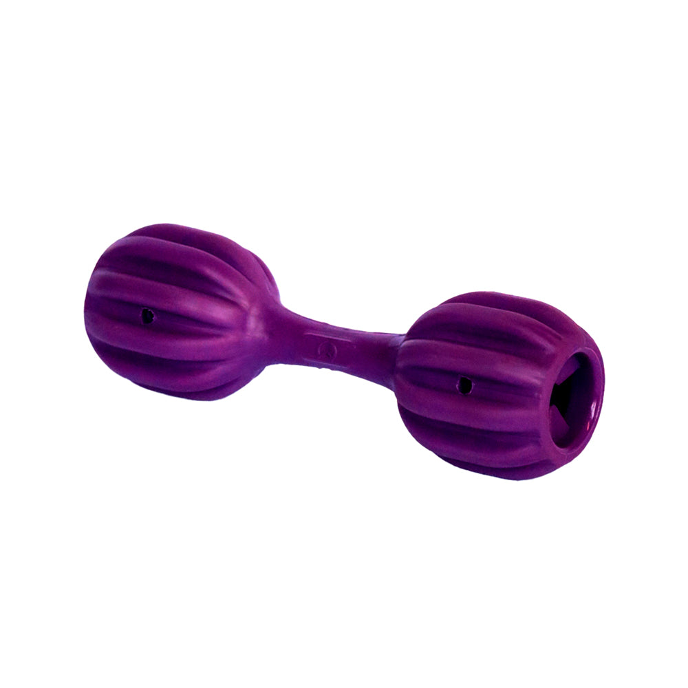 Brinquedo Dispenser Pet Fit | Amicus