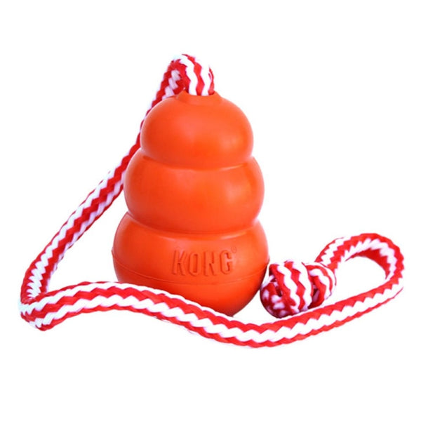 Aqua Brinquedo Aquático para Cachorro | KONG