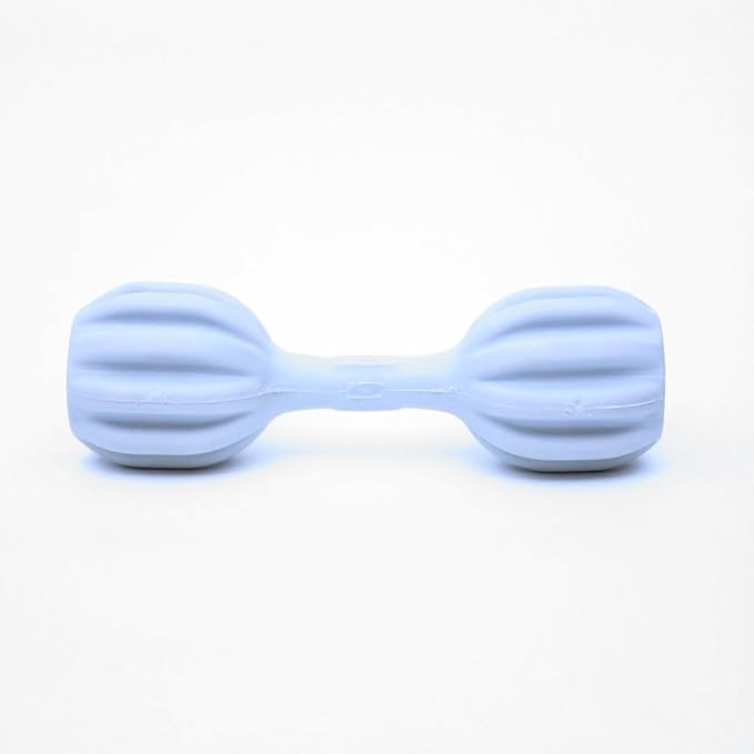 Brinquedo Dispenser Pet Fit | Amicus