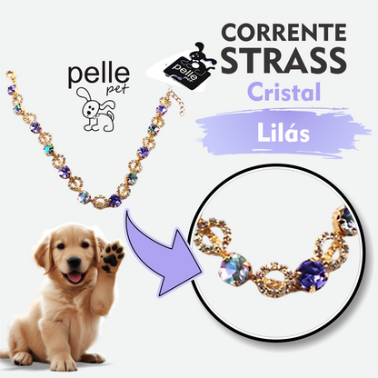 Corrente Strass Cristal Lilás Para Pet Pelle Pet