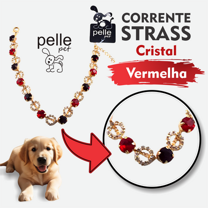 Corrente Strass Cristal Vermelha Para Pet Pelle Pet