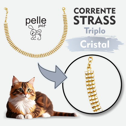 Corrente De Strass Triplo Cristal Para Pet Pelle Pet