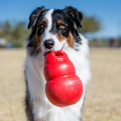 Bounzer Brinquedo Interativo para Cães | KONG
