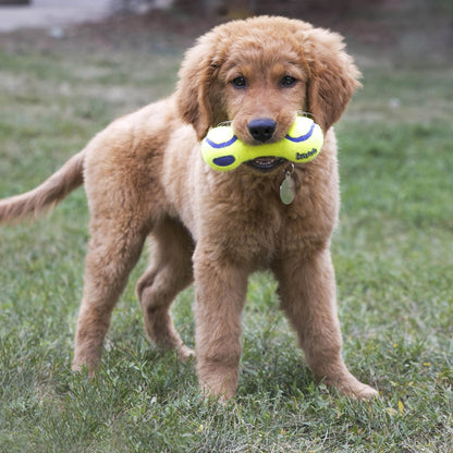 KONG AirDog Squeaker Dumbbell | Brinquedo em Formato de Halter com Apito para Cães
