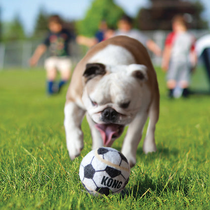 Sport Balls | Bola para Cães | KONG - 1 unidade