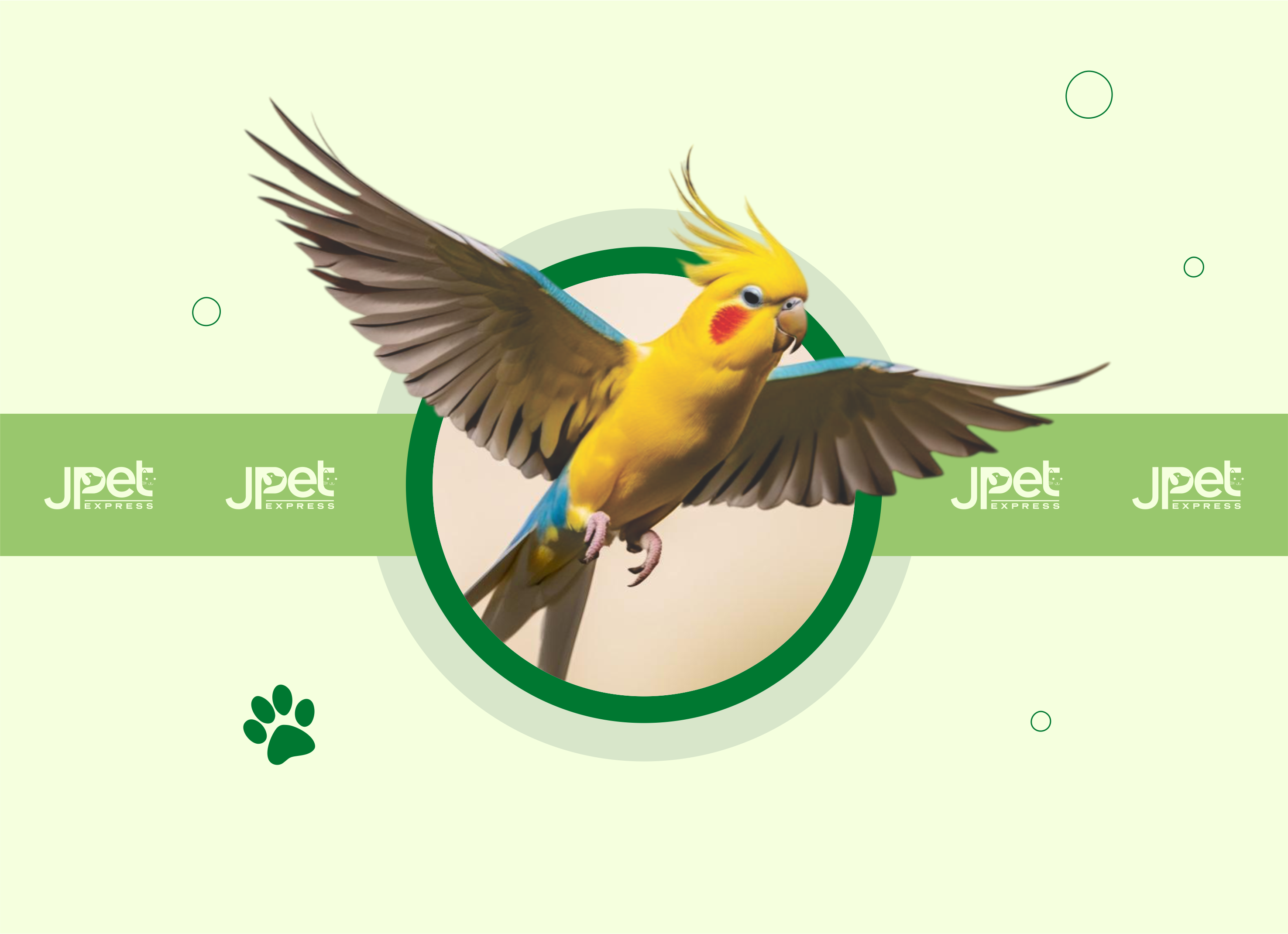 Jpet Jpet Express – JPET EXPRESS LTDA - DC