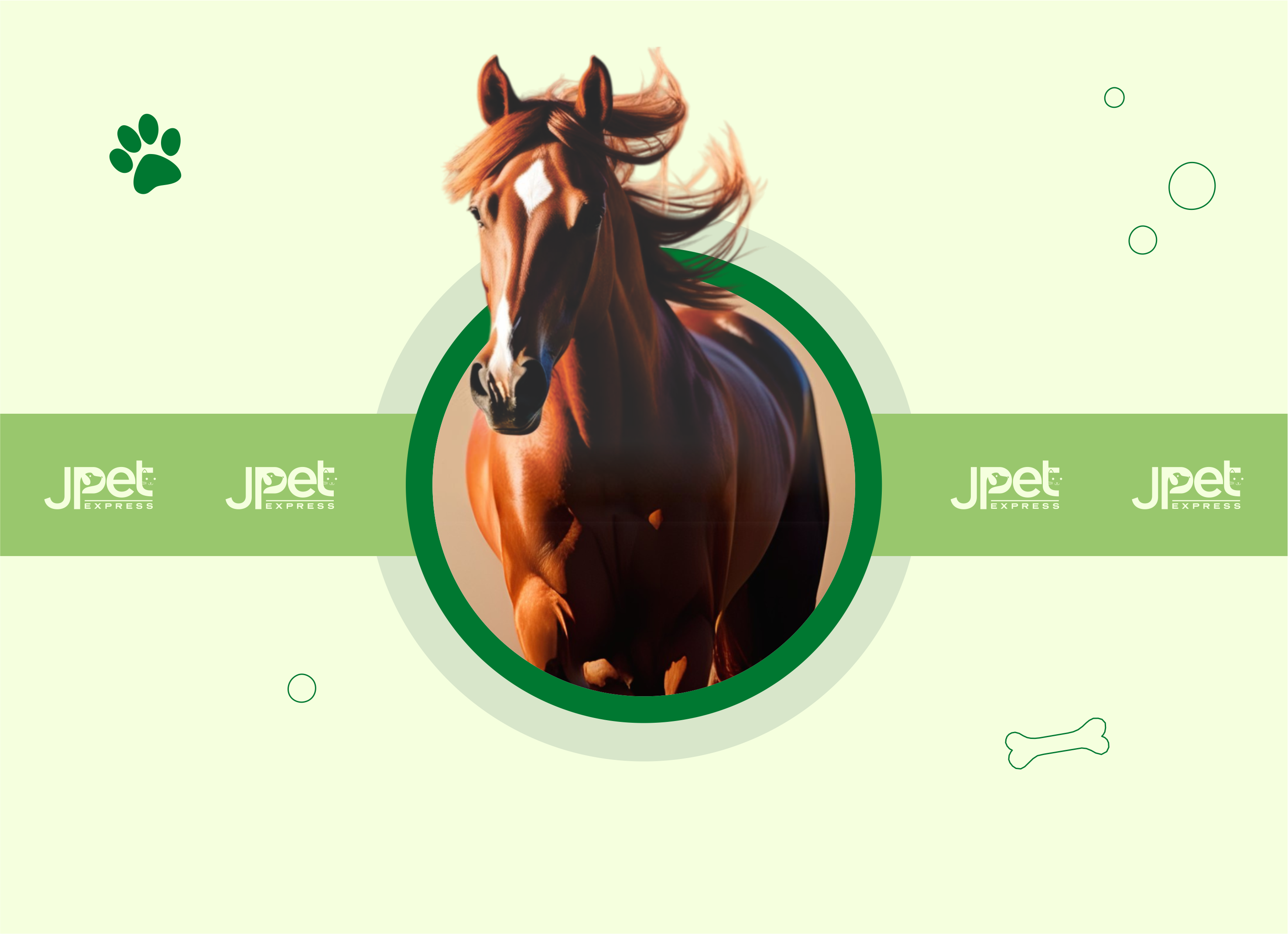Jpet Jpet Express – JPET EXPRESS LTDA - DC