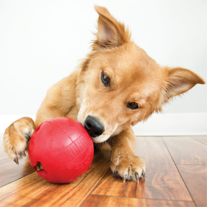 Biscuit Ball Pequeno Bola Recheável para Cães | KONG