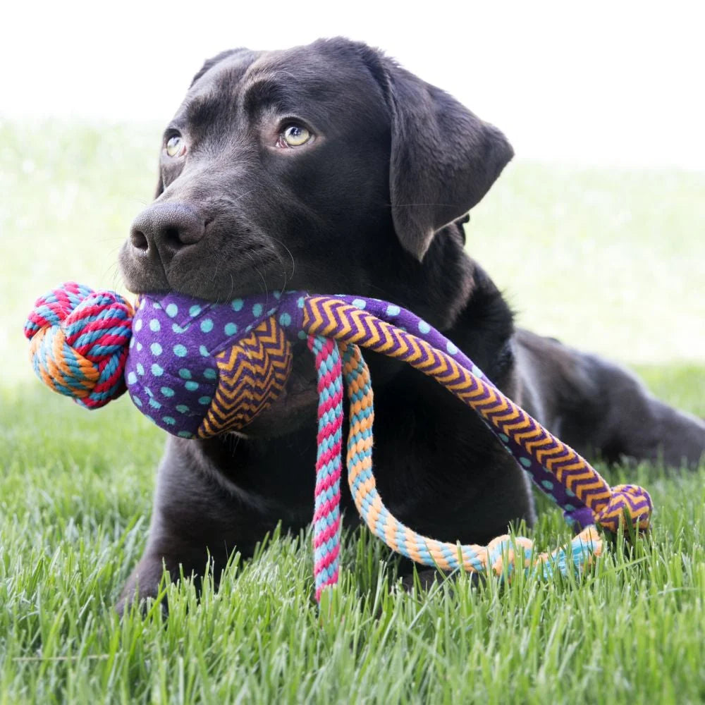 Brinquedo Wubba Medley para Cachorro | KONG