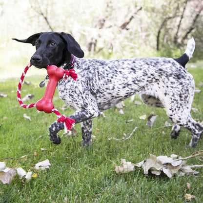 Goodie Bone c/ Corda PP Brinquedo para Cachorro | KONG