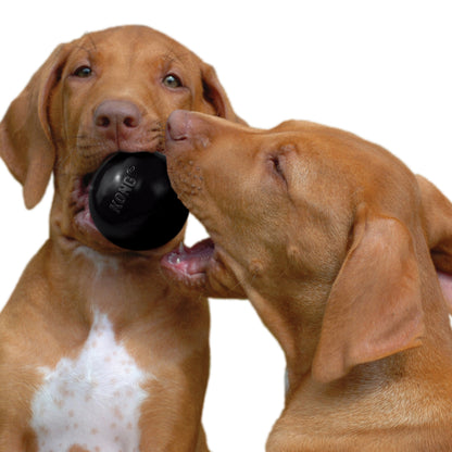 Extreme Ball Bola De Borracha Resistente Para Cães | KONG