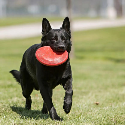 Flyer Brinquedo Frisbee de Borracha | KONG