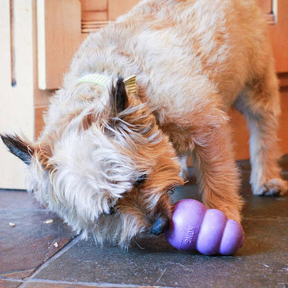 Kong Senior Stuffed Toy for Senior Dogs