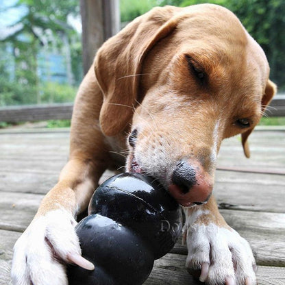 Kong Extreme Interactive Toy for Large Dogs in Black