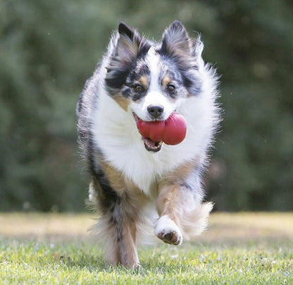 Classic Brinquedo de Borracha Recheável para Cachorro Grande | KONG